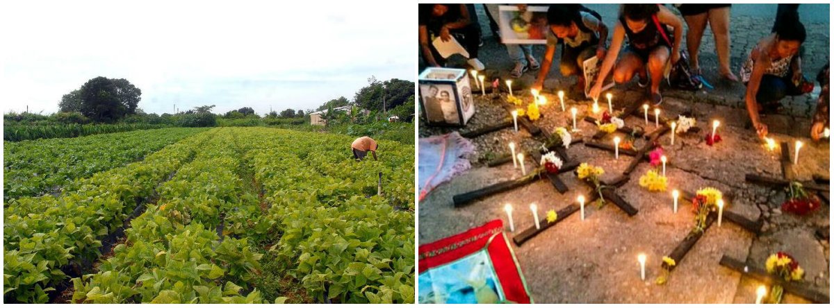 No dia do Trabalhador Rural, CUT lamenta: País é recordista mundial em homicídios no campo No dia do Trabalhador Rural, CUT lamenta: País é recordista mundial em homicídios no campo