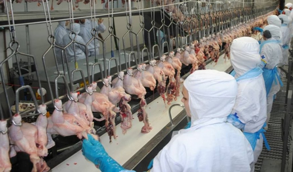 Frigoríficos são multados por descumprirem leis trabalhistas (Foto: Reprodução) Frigoríficos são multados por descumprirem leis trabalhistas