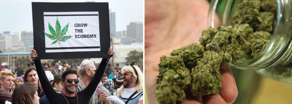 Legalização da maconha já atinge 62% da população dos Estados Unidos Legalização da maconha já atinge 62% da população dos Estados Unidos