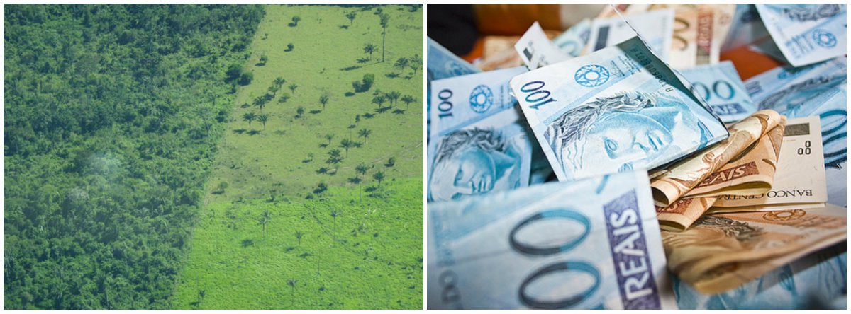 Estudo liga paraísos fiscais a empresas que atuam na Amazônia (Foto: Esq.: Divulgação/Toby Gardner/Science) Estudo liga paraísos fiscais a empresas que atuam na Amazônia