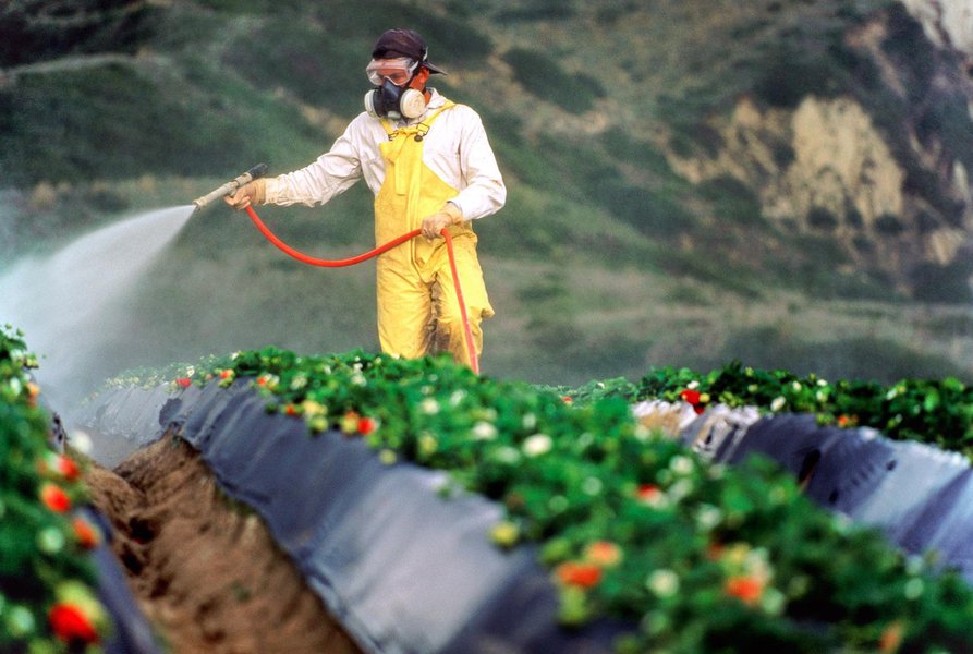 Monsanto é condenada a pagar US$289 mi em 1º julgamento de câncer relacionado ao Roundup Monsanto é condenada a pagar US$289 mi em 1º julgamento de câncer relacionado ao Roundup