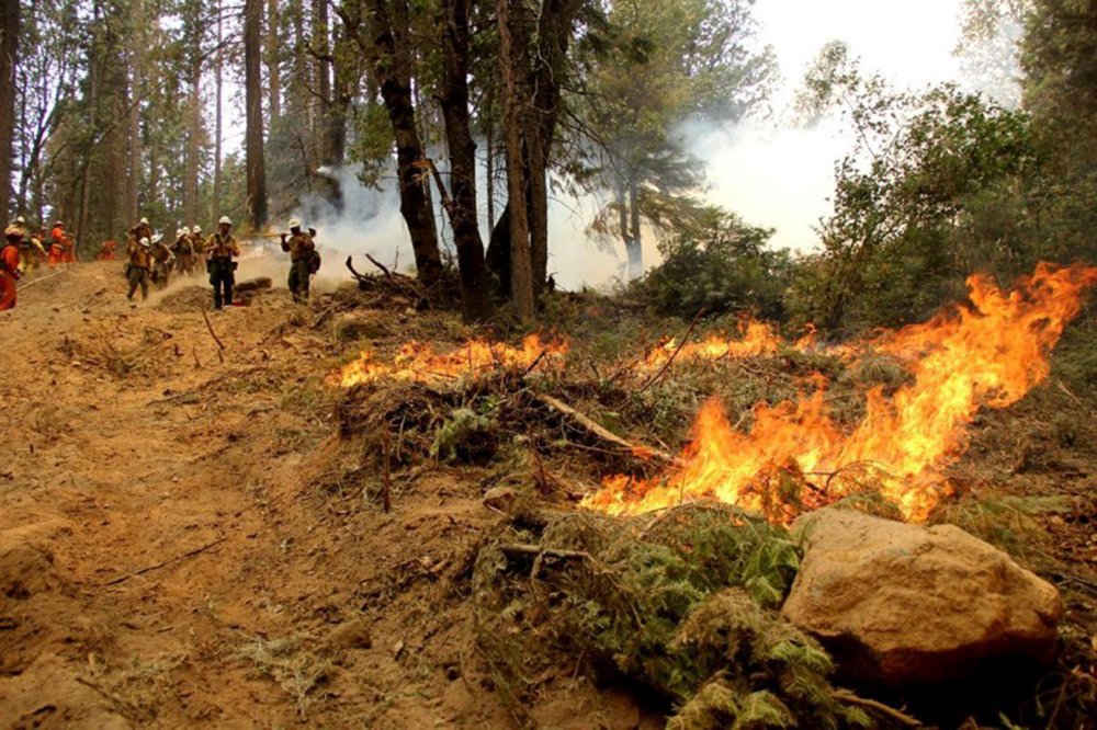 Sobe para dez número de mortes confirmadas em incêndios na Califórnia (Foto: Cortesia do Serviço Florestal dos EUA/Divulgação via Reuters) Sobe para dez número de mortes confirmadas em incêndios na Califórnia