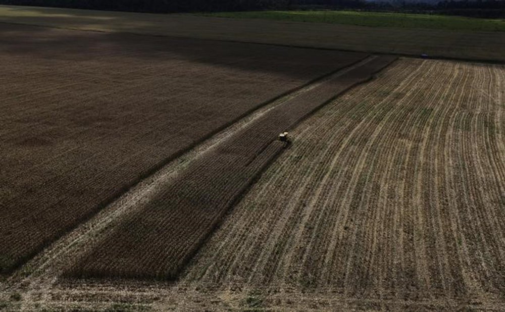 Um país agrário sem gente no campo? (Foto: REUTERS/Nacho Doce) Um país agrário sem gente no campo?