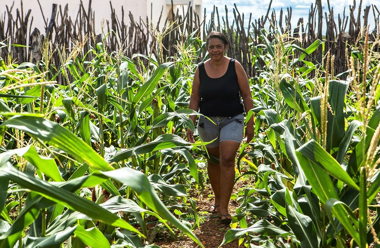 Reforma da Previdência pode impedir aposentadoria rural (Foto: Lilo Clareto/Repórter Brasil) Reforma da Previdência pode impedir aposentadoria rural