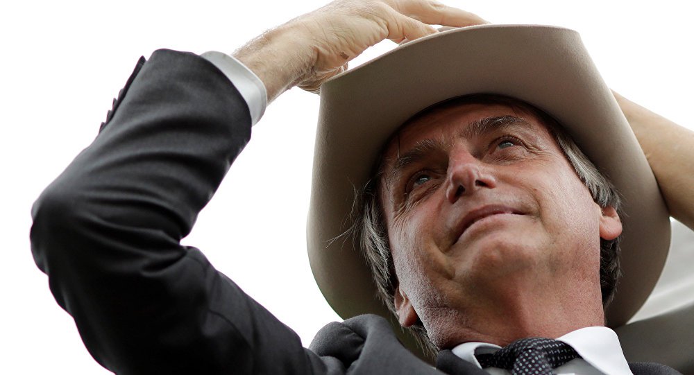 Câmara aprova MP que altera Código Florestal e dá anistia a quem desmatou (Foto: Agência Brasil) Câmara aprova MP que altera Código Florestal e dá anistia a quem desmatou