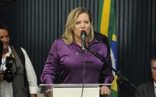 joice hasselmann líder governo armas senado (Foto: Luis Macedo/Agência Câmara) joice hasselmann líder governo armas senado