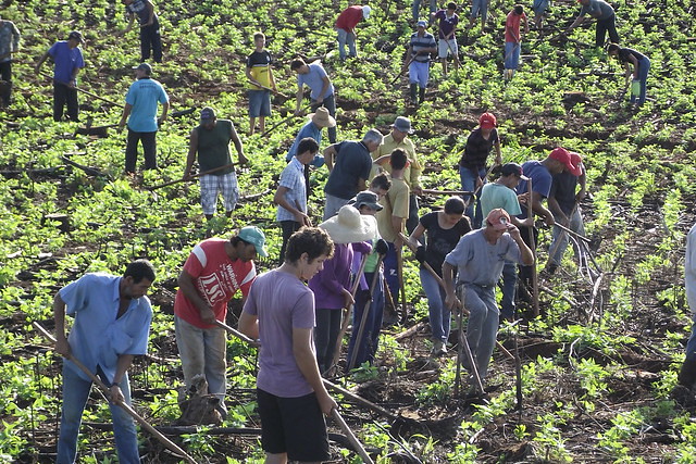 (Foto: Plano Safra)