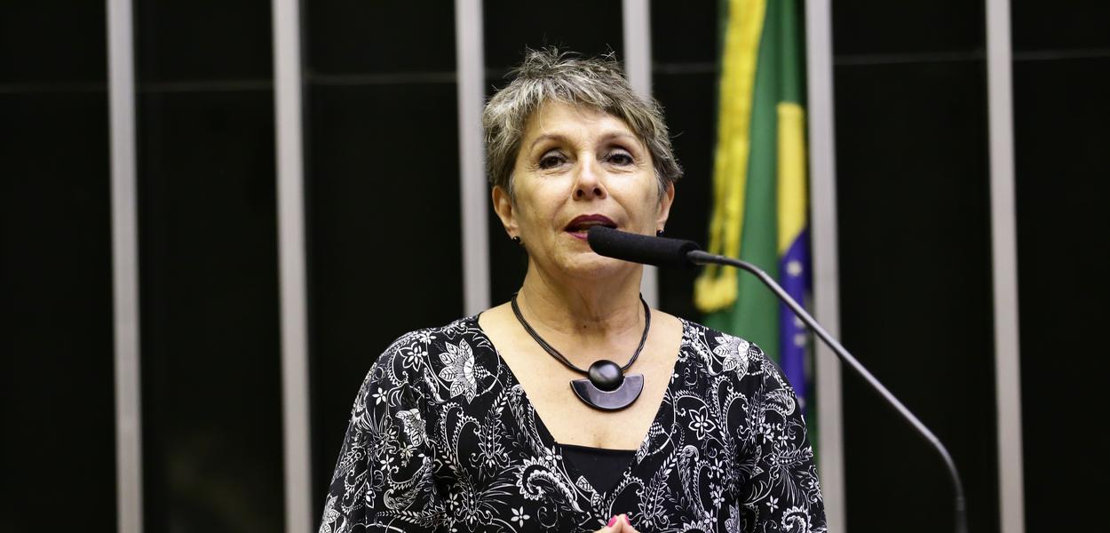 (Foto: Michel Jesus - Câmara)