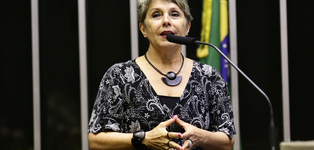 (Foto: Michel Jesus - Câmara)