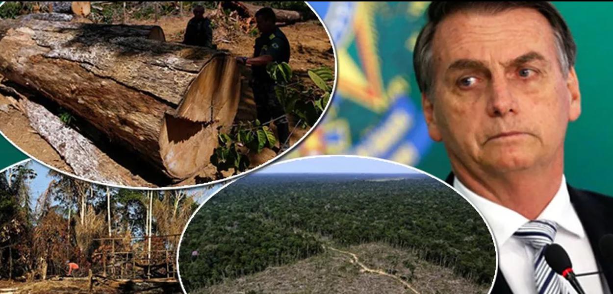 www.brasil247.com -