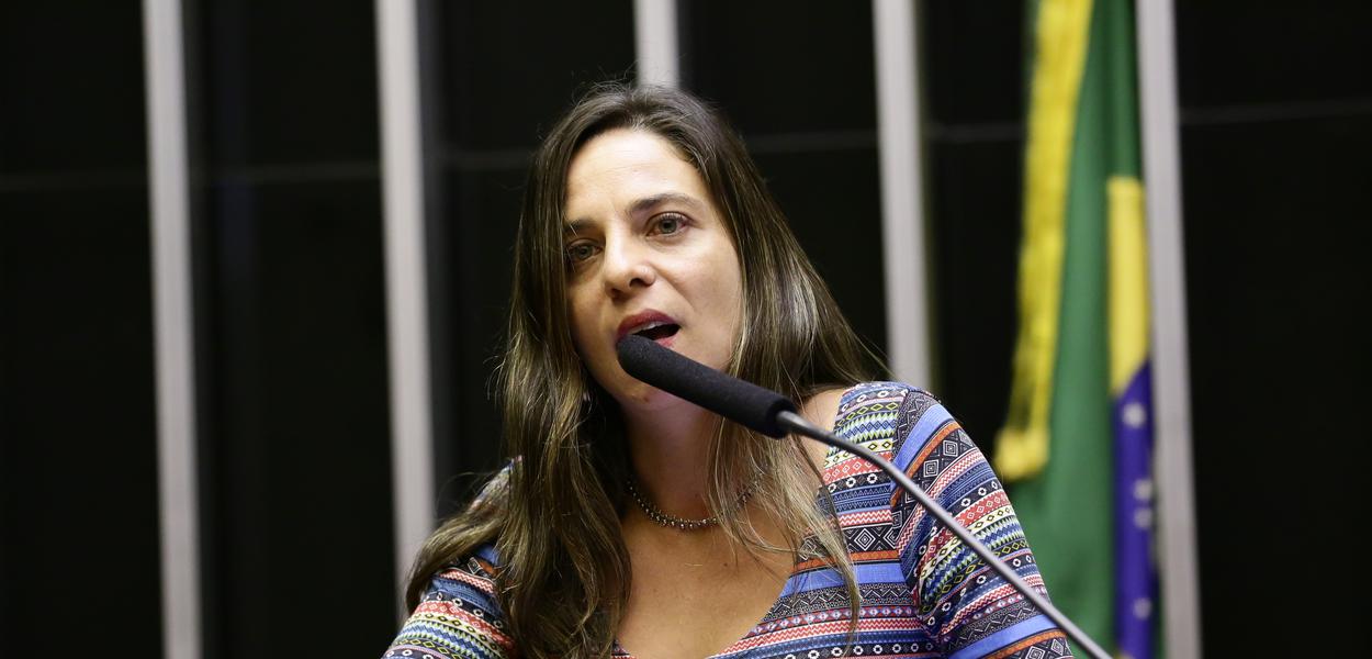 (Foto: Michel Jesus - Câmara)