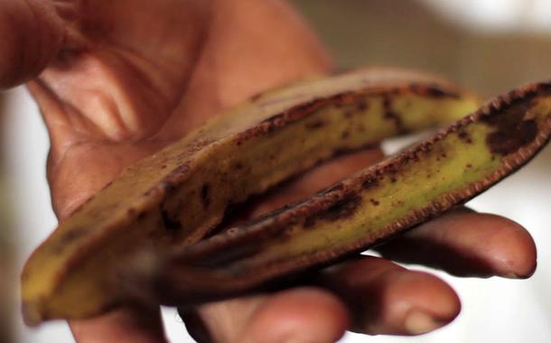(Foto: Fartura Brasil)