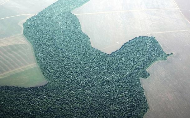Imagem aérea de desmatamento na cidade de Alta Floresta, no Pará. (Foto: REUTERS/Nacho Doce) Imagem aérea de desmatamento na cidade de Alta Floresta, no Pará.