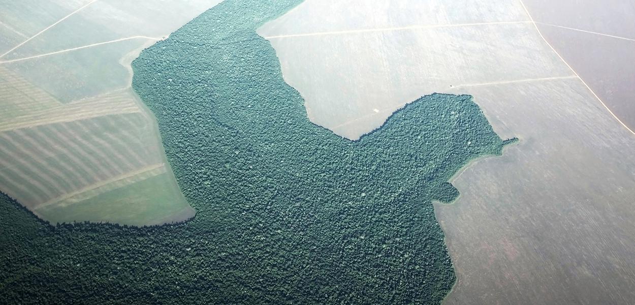 Imagem aérea de desmatamento na cidade de Alta Floresta, no Pará. (Foto: REUTERS/Nacho Doce) Imagem aérea de desmatamento na cidade de Alta Floresta, no Pará.