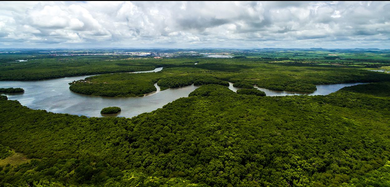 Amazônia: nível de desmatamento está próximo de levar a mudanças irreversíveis na floresta (iStock/Thinkstock) (Foto: Ildo Frazao) Amazônia: nível de desmatamento está próximo de levar a mudanças irreversíveis na floresta (iStock/Thinkstock)