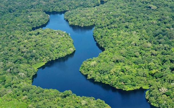 Amazônia (Foto: Sputnik) Amazônia