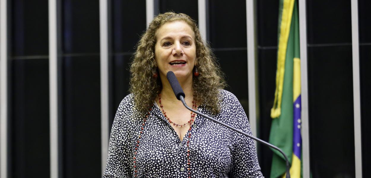 (Foto: Michel Jesus - Câmara)