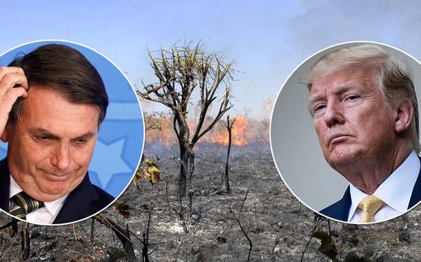 (Foto: Amazônia, Trump, Bolsoanro)