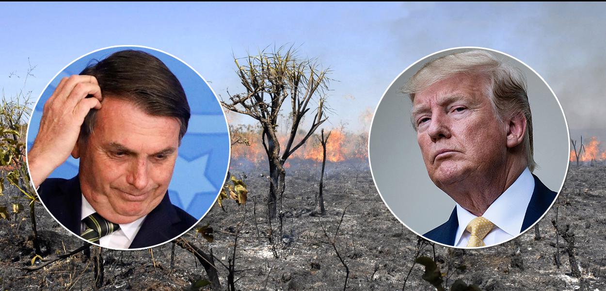 (Foto: Amazônia, Trump, Bolsoanro)