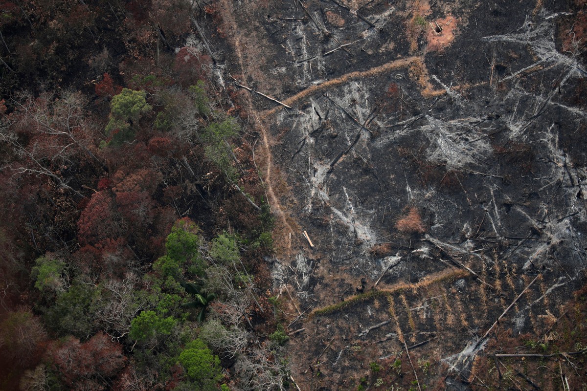 (Foto: Foto: reuters)