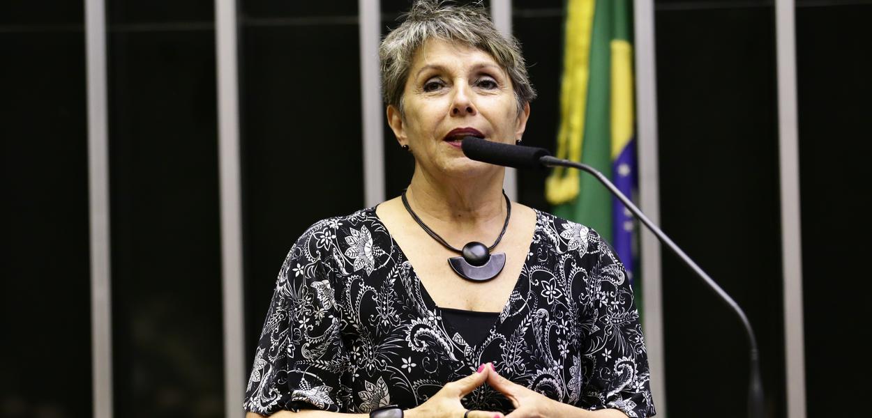 (Foto: Michel Jesus - Câmara)