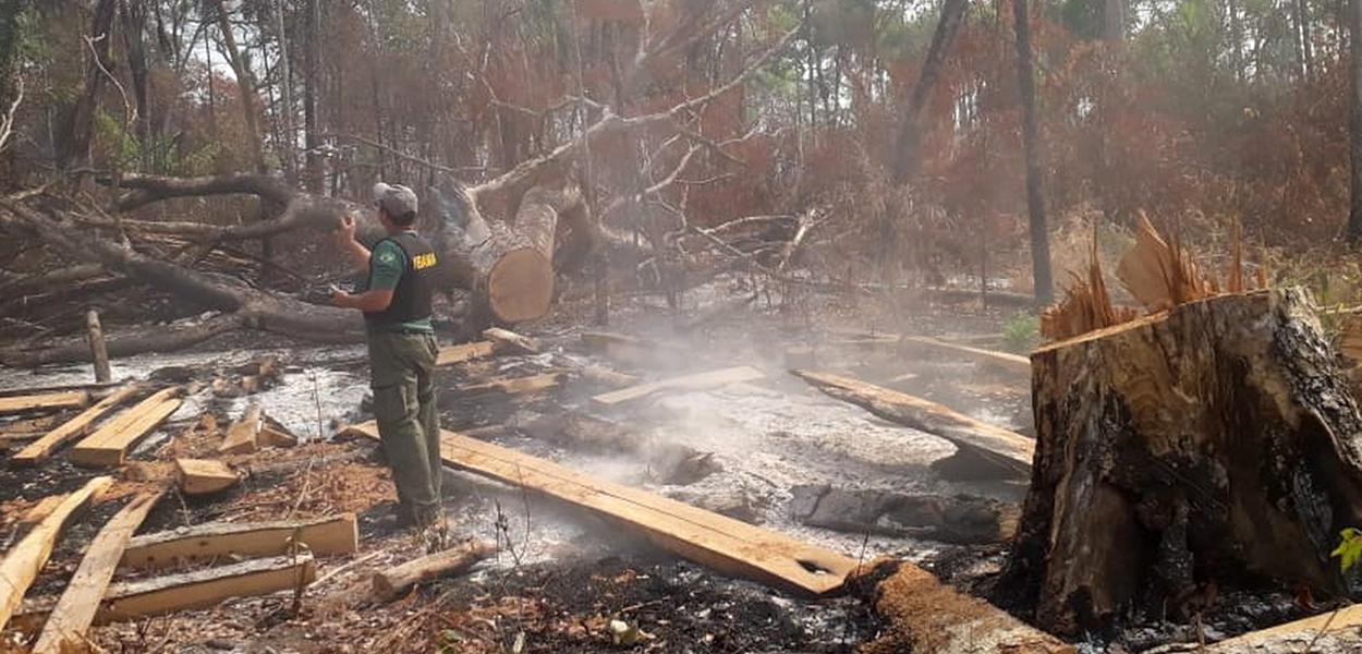 Fogo na Terra Indígena Arões em Mato Grosso (Foto: Ibama) Fogo na Terra Indígena Arões em Mato Grosso