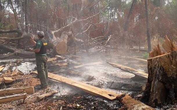 Fogo na Terra Indígena Arões em Mato Grosso (Foto: Ibama) Fogo na Terra Indígena Arões em Mato Grosso