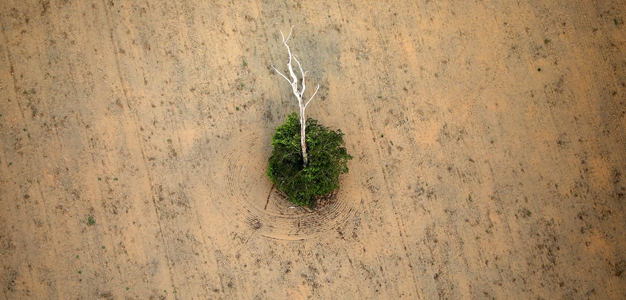 Trecho desmatado da floresta amazônica perto de Porto Velho (Foto: REUTERS/Bruno Kelly) Trecho desmatado da floresta amazônica perto de Porto Velho