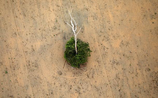 Trecho desmatado da floresta amazônica perto de Porto Velho (Foto: REUTERS/Bruno Kelly) Trecho desmatado da floresta amazônica perto de Porto Velho
