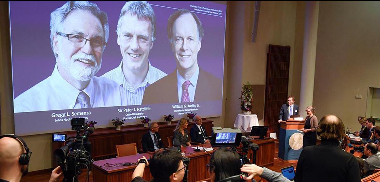 Anúncio dos ganhadores do Nobel de Medicina (Foto: Pontus Lundahl/TT News Agency/via REUTERS) Anúncio dos ganhadores do Nobel de Medicina
