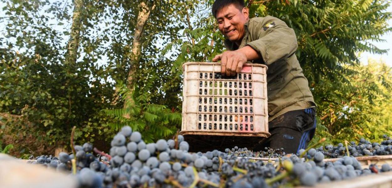 China, luta contra a pobreza (Foto: Xinhua) China, luta contra a pobreza