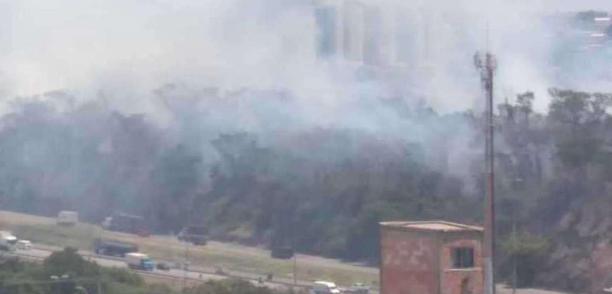 Incêndio próximo a UFMG (Foto: CBMMG/Divulgação) Incêndio próximo a UFMG