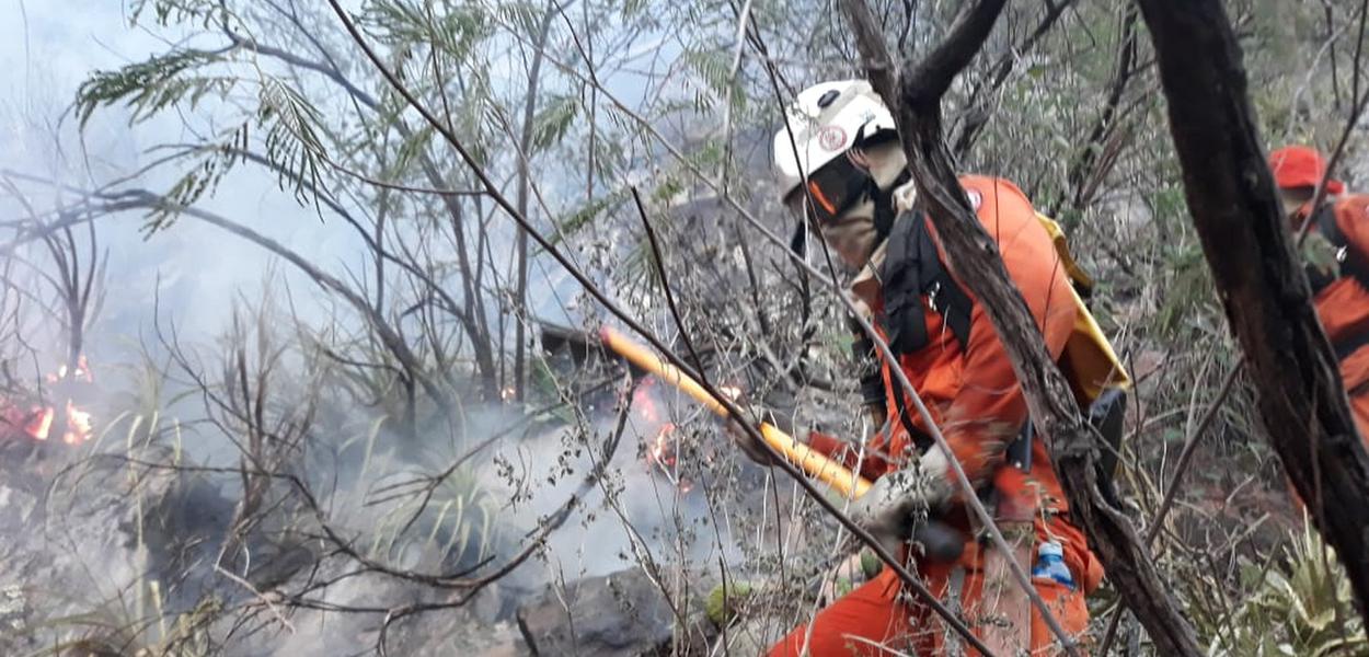 Bombeiros tentam apagar incêndio na Chapada Diamantina (Foto: Corpo de Bombeiros Militar da Bahia) Bombeiros tentam apagar incêndio na Chapada Diamantina