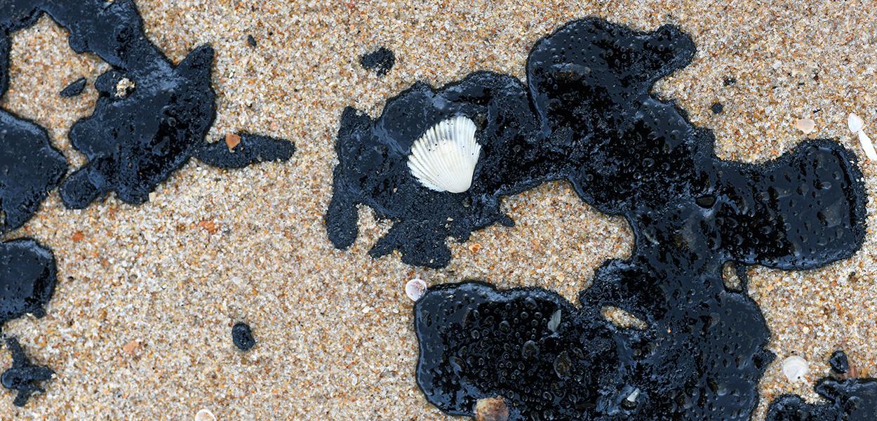 Derramamento de petróleo na praia de Barra de Jacuípe, em Camaçari (BA) (Foto: REUTERS/Lucas Landau) Derramamento de petróleo na praia de Barra de Jacuípe, em Camaçari (BA)
