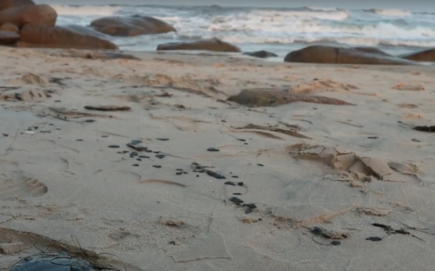 (Foto: TV Globo/Reprodução)