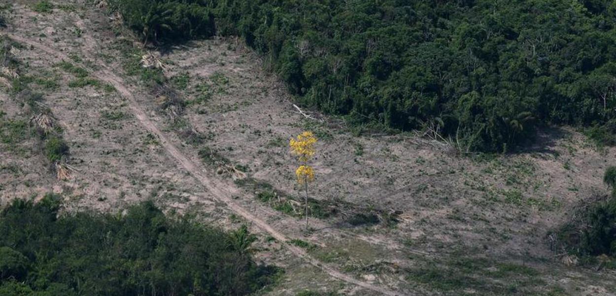 Desmatamento na Amazônia (Foto: REUTERS/Ricardo Moraes) Desmatamento na Amazônia