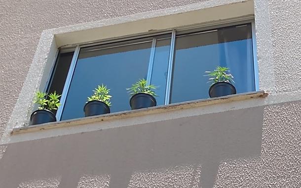 (Foto: Arquivo Pessoal)