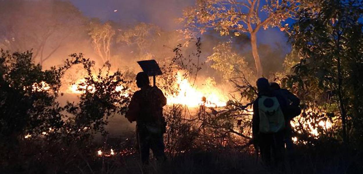 (Foto: Brigada de Alter do Chão) www.brasil247.com -