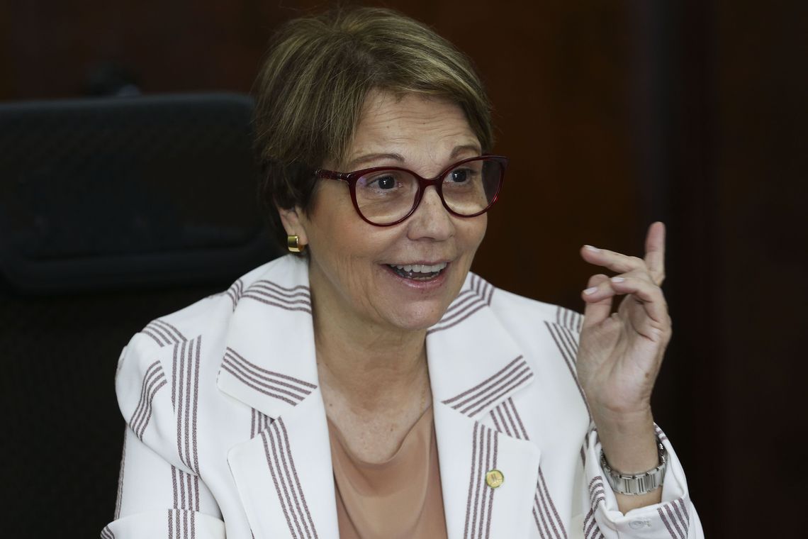 Ministra da Agricultura, Tereza Cristina (Foto: Antonio Cruz/Agência Brasil) Ministra da Agricultura, Tereza Cristina