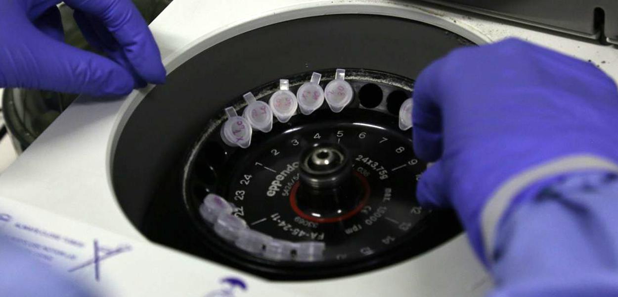 (Foto: © Divulgação/Josué Damacena (IOC/Fiocruz))