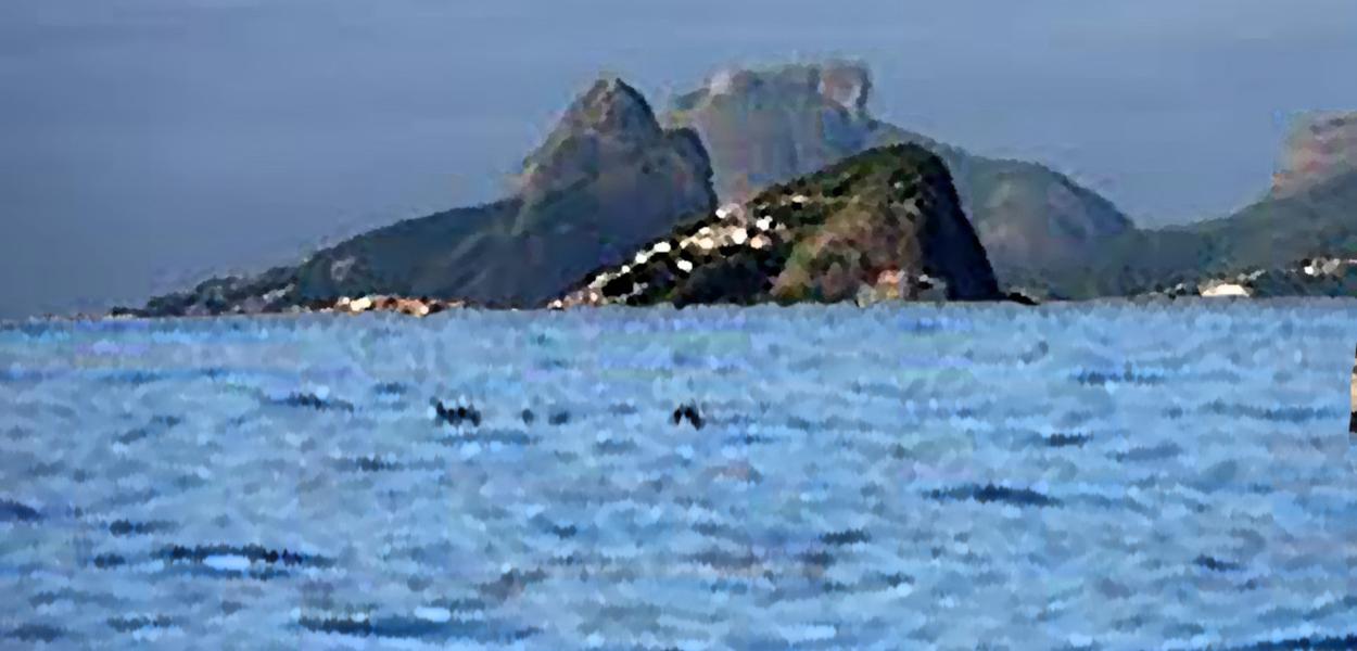 (Foto: Miguel Paiva)