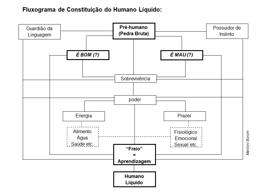 fluxograma