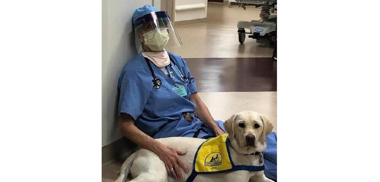 Profissional da saúde com cão terapueta (Foto: Reprodução/Susan Ryan) Profissional da saúde com cão terapueta