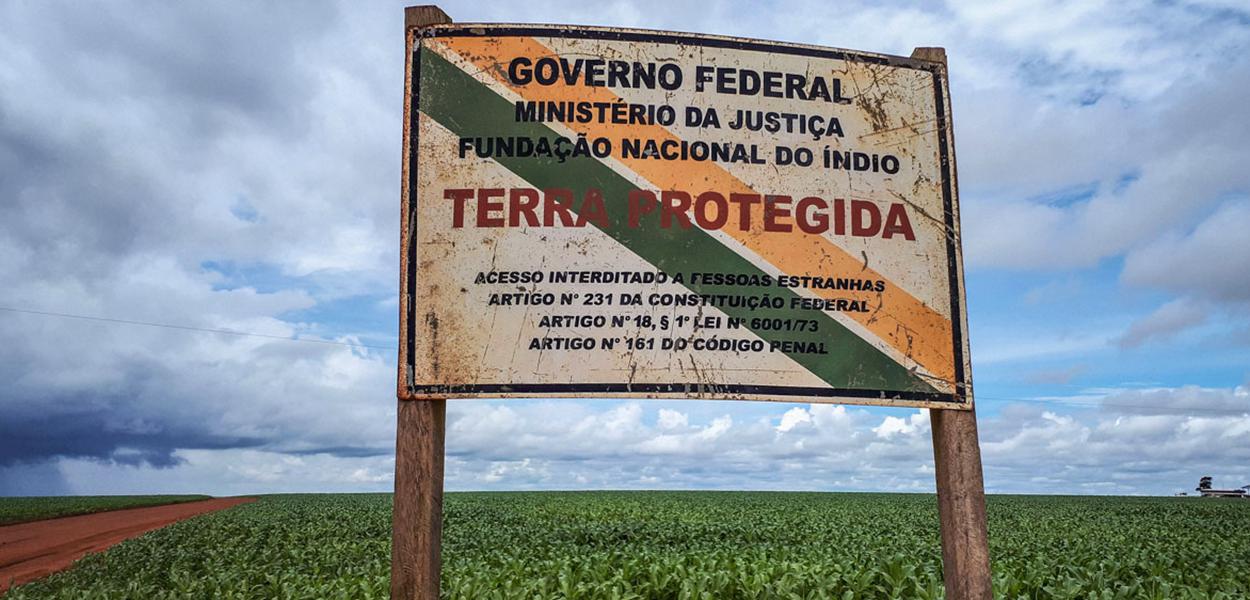 (Foto: Lidiane Ribeiro/Ibama)