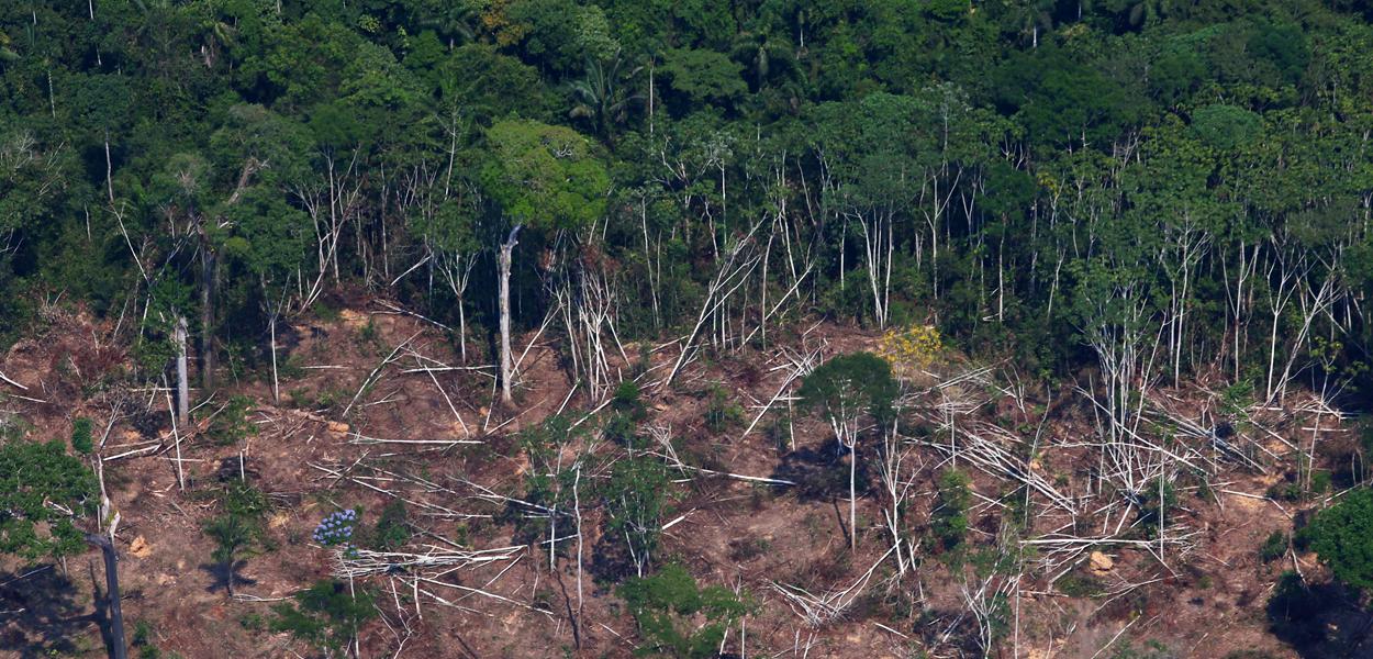 Área desmatada da floresta amazônica em Novo Progresso, no Pará (Foto: REUTERS/Amanda Perobelli) Área desmatada da floresta amazônica em Novo Progresso, no Pará