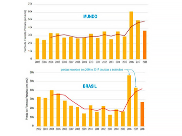 Gráfico