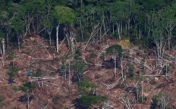 Floresta amazônica, perto de Novo Progresso, Pará. (Foto: REUTERS/Amanda Perobelli) Floresta amazônica, perto de Novo Progresso, Pará.