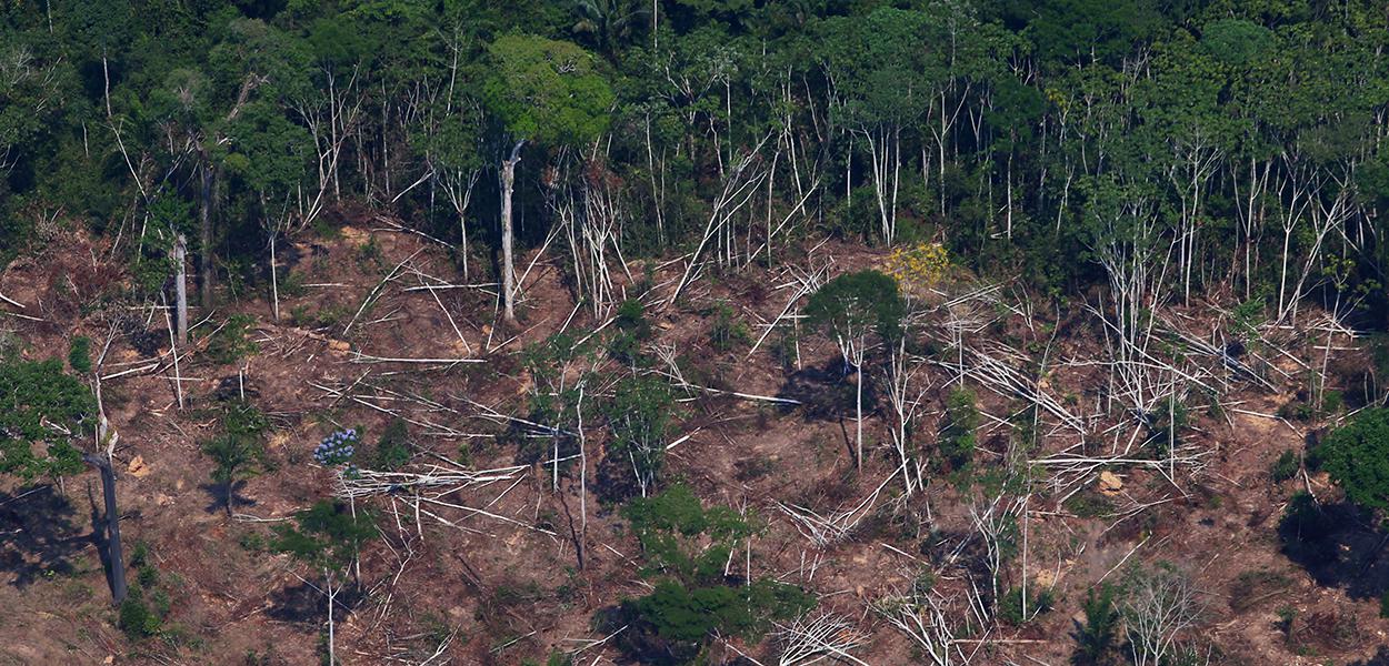 Floresta amazônica, perto de Novo Progresso, Pará. (Foto: REUTERS/Amanda Perobelli) www.brasil247.com - Floresta amazônica, perto de Novo Progresso, Pará.