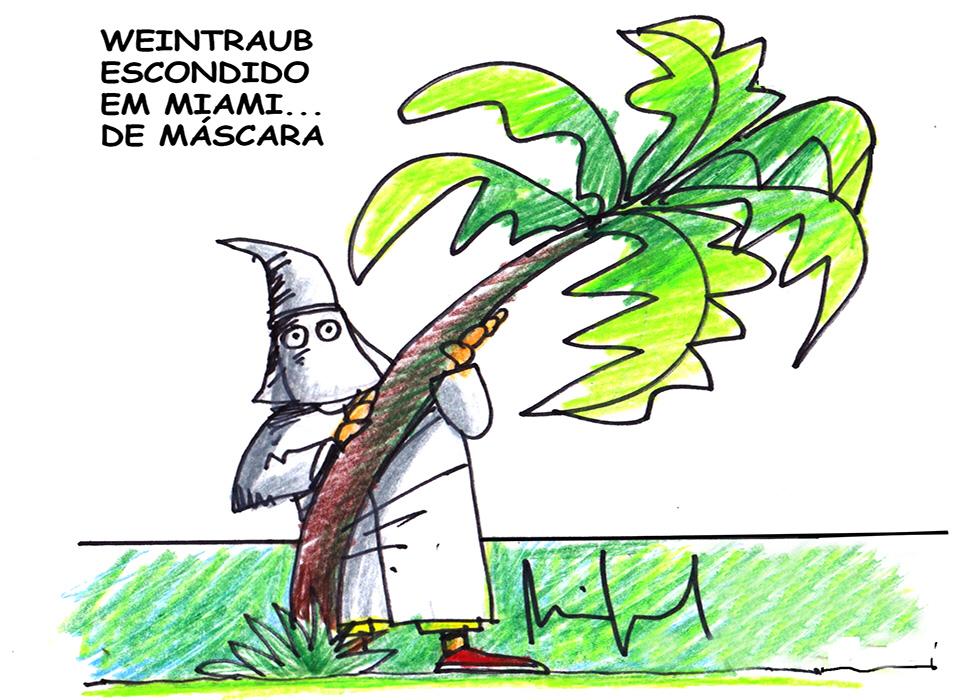 (Foto: Miguel Paiva)