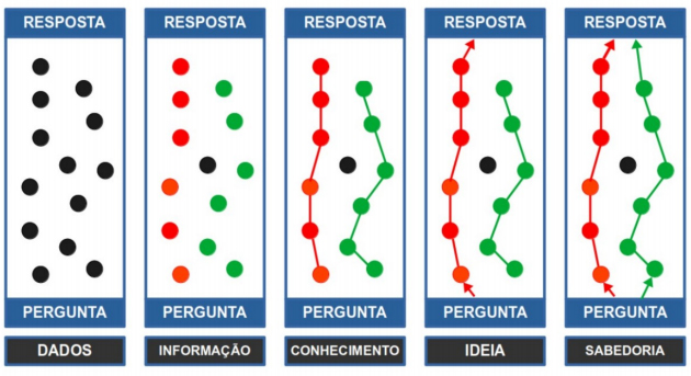 figura 1